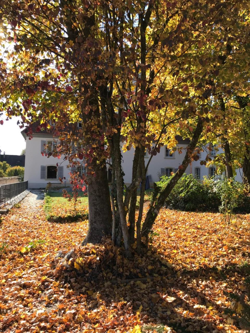 Manoir de la Côte-Dieu Porrentruy Extérieur photo
